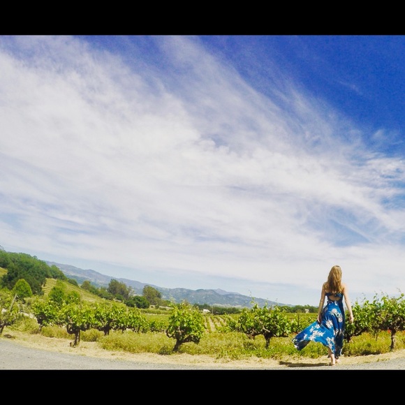 Meet your Posher, Thea - Picture 6 of 6